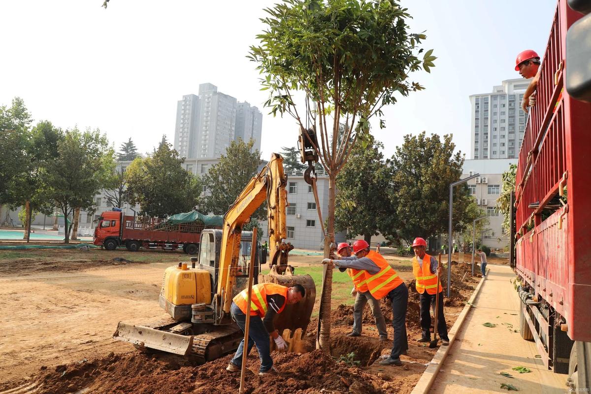 周口苗木綠化工程 專(zhuān)業(yè)綠化施工助力綠色園林建設(shè)