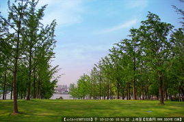 城市綠化管理中的道路景觀與園林節(jié)點設(shè)計資料應(yīng)用