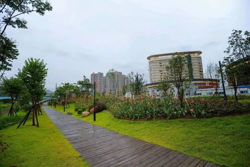 《龍巖市城市綠化條例》2020年施行 綠化帶禁止停車種菜，規范園林綠化工程施工