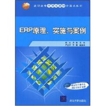 ERP系統原理、實施與網絡技術應用——以肖玉案例為視角
